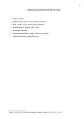 Kalba: "Moterys turi teisę gyventi" 3 puslapis