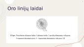 330 kV oro linijos Lietuvos elektrinė 10 puslapis