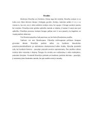 Filosofija ir pagrindiniai filosofijos kilmės šaltiniai 11 puslapis
