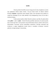 Filosofija ir pagrindiniai filosofijos kilmės šaltiniai 3 puslapis