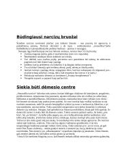 Kas yra narcizas? 3 puslapis