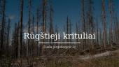 Rūgštieji krituliai - skaidrės