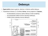 Atmosferos drėgmė ir krituliai 10 puslapis