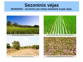 Atmosferos slėgis ir vėjai (skaidrės) 13 puslapis