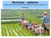 Atmosferos slėgis ir vėjai (skaidrės) 14 puslapis