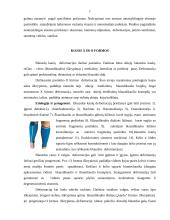 Kineziterapijos problemos 6 puslapis