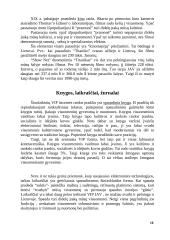 Knyga ir skaitymas masinių komunikacijų sistemoje 10 puslapis