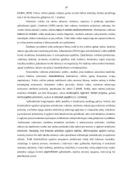 Ikimokyklinio ugdymo programos pritaikymas vaikui, turinčiam ankstyvųjų mokymosi sutrikimų požymių 13 puslapis