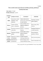 Ikimokyklinio ugdymo programos pritaikymas vaikui, turinčiam ankstyvųjų mokymosi sutrikimų požymių 19 puslapis