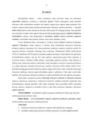 Ikimokyklinio ugdymo programos pritaikymas vaikui, turinčiam ankstyvųjų mokymosi sutrikimų požymių 2 puslapis