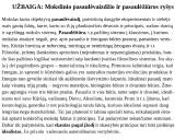 Mokslo kilmė ir esmė – raida, tikslai, metodai 17 puslapis
