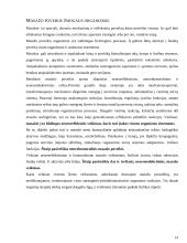 Masažo istorija, rūšys 15 puslapis