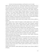 Masažo istorija, rūšys 18 puslapis