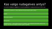 Rudagalvė antis 9 puslapis