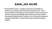 Kava, jos kilmė, rūšys, patiekimas 2 puslapis