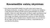 Kava, jos kilmė, rūšys, patiekimas 12 puslapis