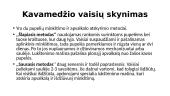 Kava, jos kilmė, rūšys, patiekimas 13 puslapis