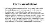 Kava, jos kilmė, rūšys, patiekimas 15 puslapis