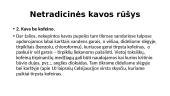 Kava, jos kilmė, rūšys, patiekimas 19 puslapis