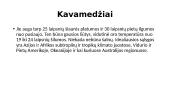 Kava, jos kilmė, rūšys, patiekimas 8 puslapis