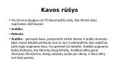 Kava, jos kilmė, rūšys, patiekimas 9 puslapis