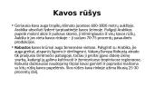 Kava, jos kilmė, rūšys, patiekimas 10 puslapis