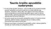 Kokteilių puošimas, aksesuarai, taurės krašto apvadėlio sudarymas 16 puslapis