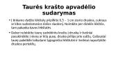 Kokteilių puošimas, aksesuarai, taurės krašto apvadėlio sudarymas 17 puslapis