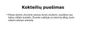 Kokteilių puošimas, aksesuarai, taurės krašto apvadėlio sudarymas 5 puslapis