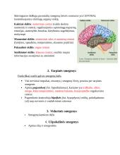 Centrinė ir periferinė nervų sistemos 2 puslapis