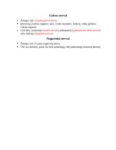 Centrinė ir periferinė nervų sistemos 5 puslapis