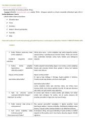 Maironis. „Vilnius“ ir „Nebeužtveksi upės“