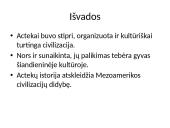 Actekų civilizacija. Skaidrės 10 puslapis