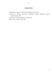 Kultūros vaidmuo organizacinės elgsenos orientavime 13 puslapis
