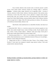 Kultūros vertybių analizė: Indijos kultūra 3 puslapis