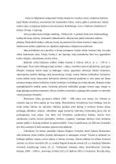 Kultūros vertybių analizė: Indijos kultūra 4 puslapis