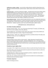 Istorijos konspektas 12 kl. 1-2 temų 1 dalies vadovėlio 3 puslapis