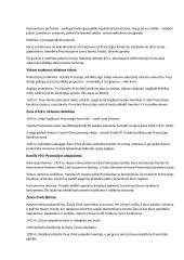 Istorijos konspektas 12 kl. 1-2 temų 1 dalies vadovėlio 4 puslapis