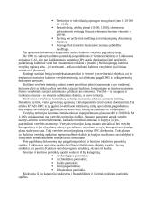 Kultūros vertybių apskaitos dokumentai ir jų struktūra 3 puslapis