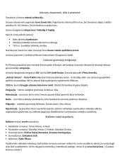 Pasaulinė ekonominė krizė 2 puslapis