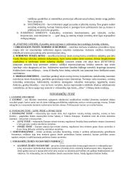 Teisės istorija - sąvokų bankas 7 puslapis