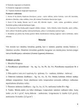 Neorganinės chemijos konspektai 9 puslapis