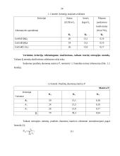Logistikos centro statybos projektas 13 puslapis