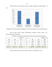 Logistikos centro statybos projektas 19 puslapis