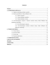 Tinklinis marketingas (kursinis)