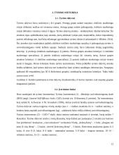Tinklinis marketingas (kursinis) 15 puslapis