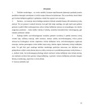 Tinklinis marketingas (kursinis) 19 puslapis