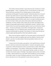 Lietuvos Respublikos Švietimo įstatymų analizė 2 puslapis