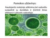 Dumbliai- vienaląsčiai ir daugialąsčiai protistai 2 puslapis