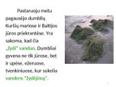 Dumbliai- vienaląsčiai ir daugialąsčiai protistai 13 puslapis